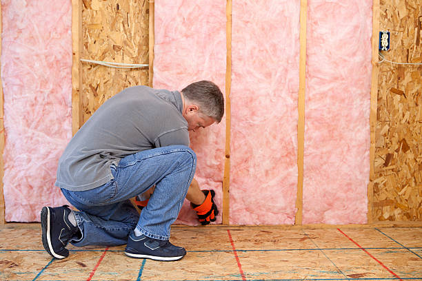 Best Specialized Insulation Services in Covedale, OH